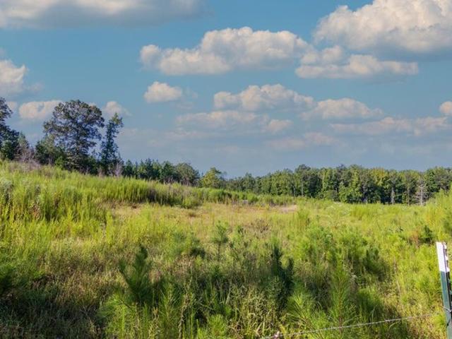 Land for sale in Talbot, Georgia