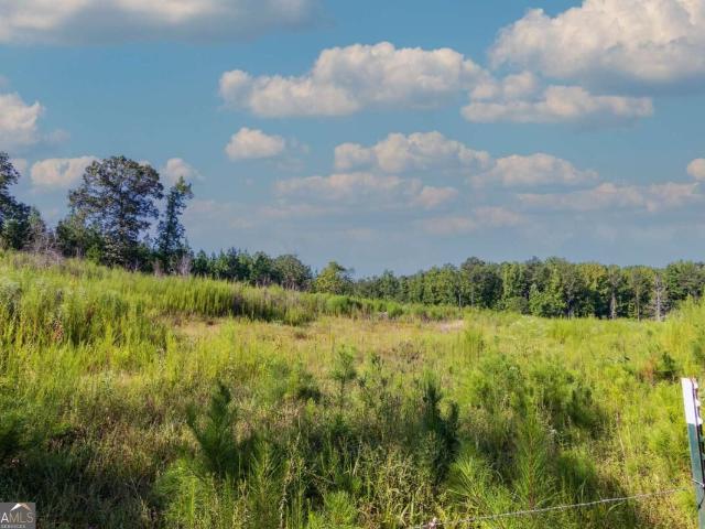 Land for sale in Talbot, Georgia