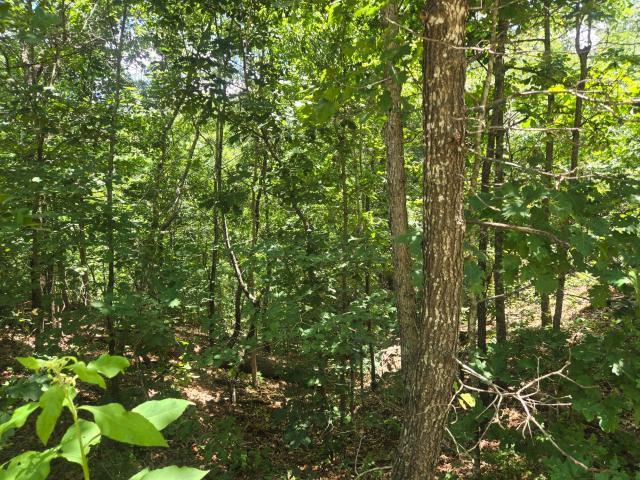 Land for sale in Barry, Missouri