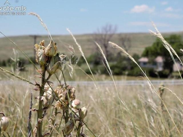 Land for sale in Colorado