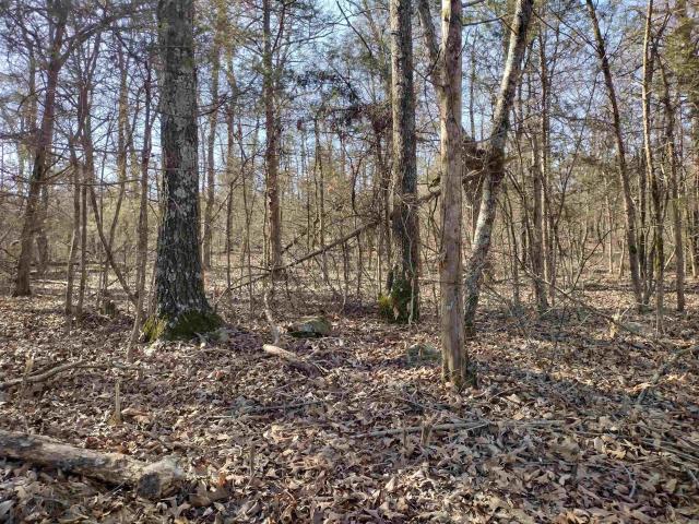 Land for sale in Ark