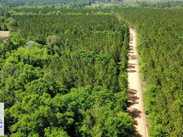 Land for sale in Fitzgerald, Georgia
