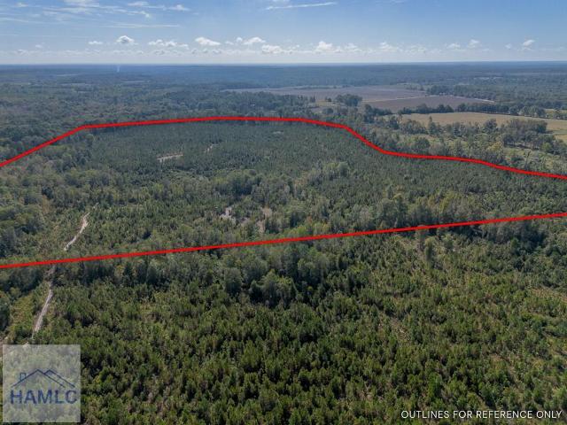 Land for sale in Jacksonville, Georgia
