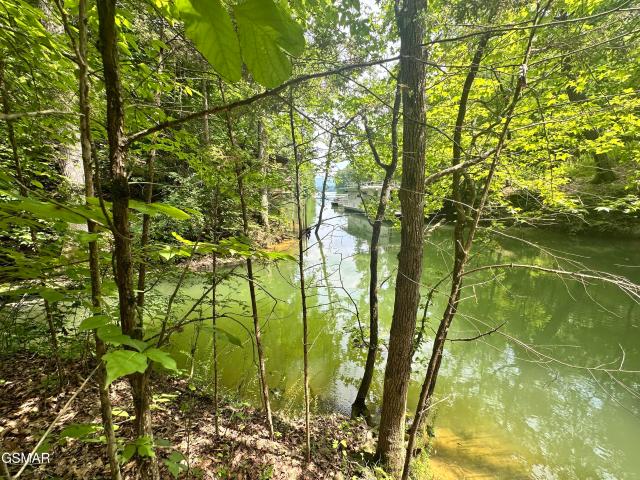 Land for sale in Tennessee