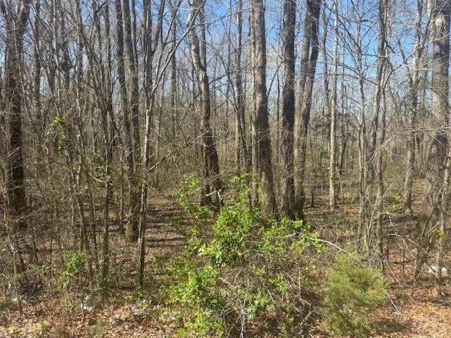 Land for sale in Middle Fork, Enville