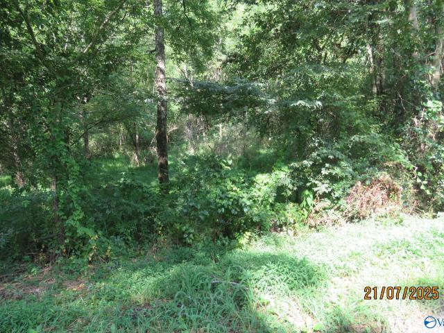 Land for sale in Boaz, Alabama