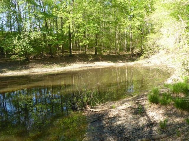 Land for sale in Virginia