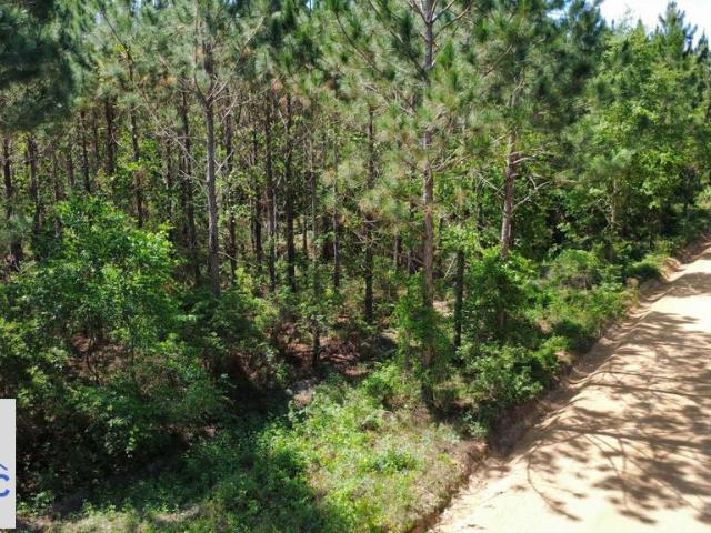 Land for sale in Fitzgerald, Georgia