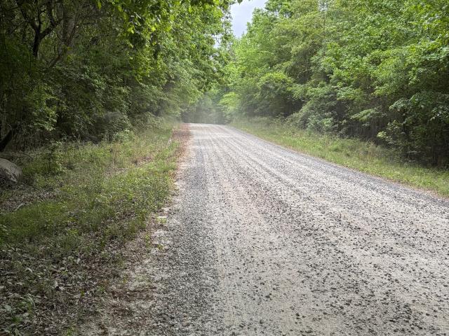 Land for sale in Banks, Georgia
