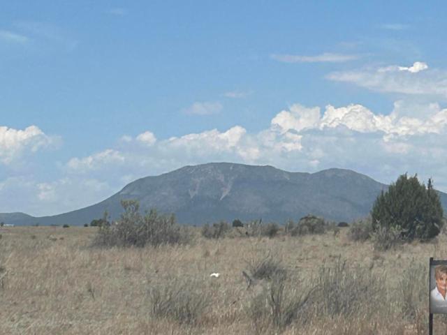 Land for sale in Edgewood, New Mexico
