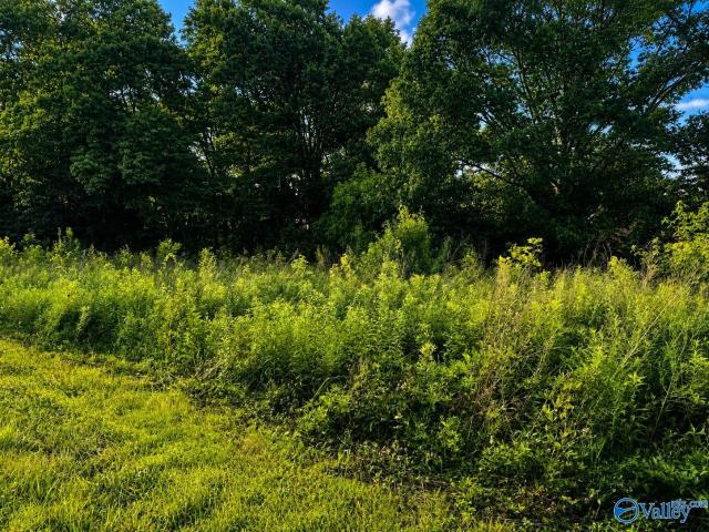 Land for sale in Cedar Bluff, Cherokee County