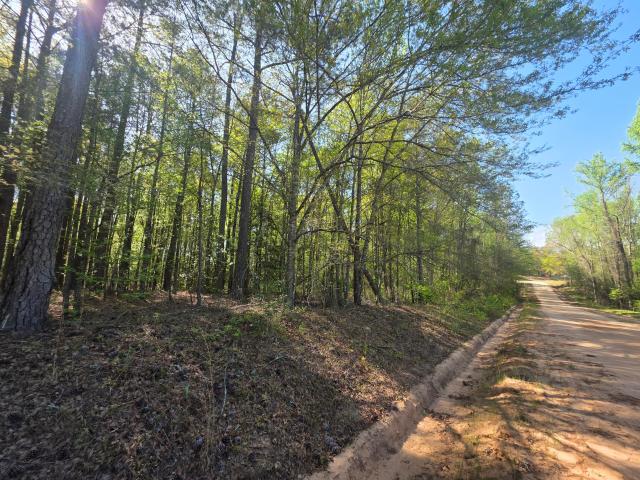 Land for sale in Gibson, Georgia