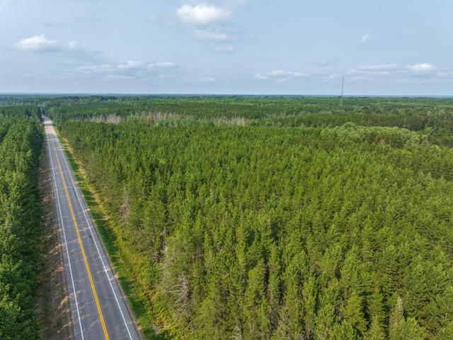 Land for sale in Babbitt, Minnesota