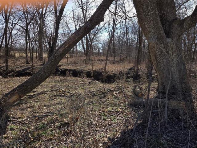 Land for sale in Archie, Missouri