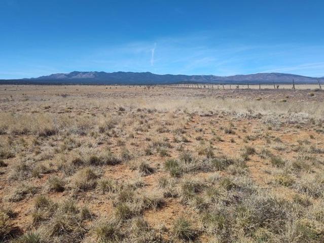 Land for sale in Mountainair, New Mexico