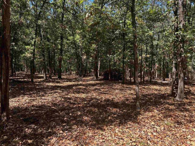Land for sale in Cabot, Lonoke County