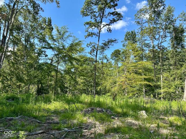 Land for sale in Indiana