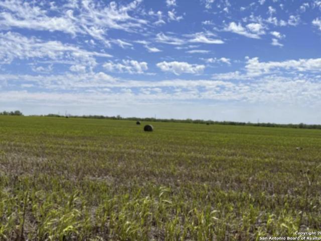 Land for sale in Saint Hedwig, Texas