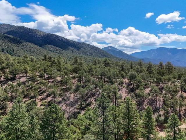 Land for sale in New Mexico