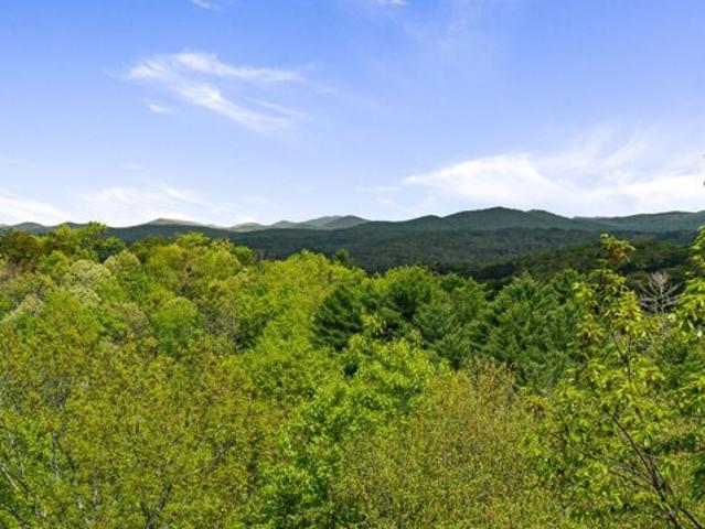 Land for sale in Blue Ridge
