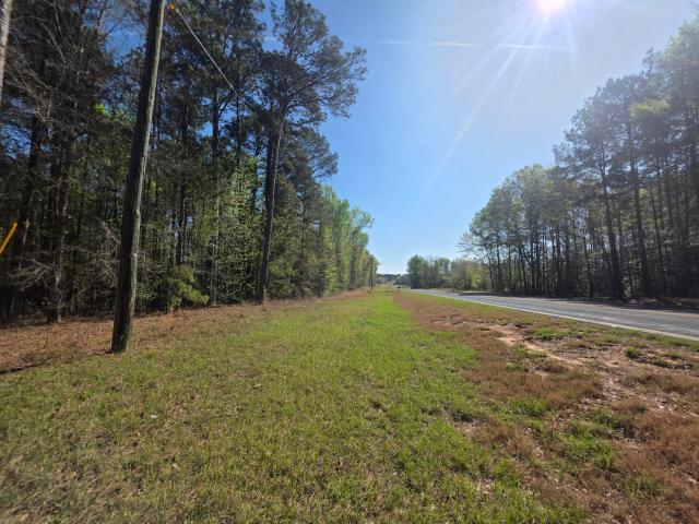 Land for sale in Gibson, Georgia