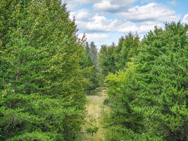 Land for sale in Babbitt, Minnesota