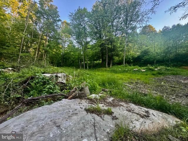 Land for sale in West Virginia