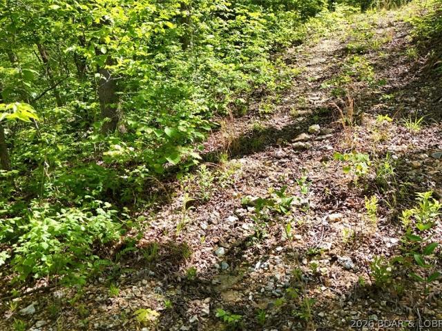 Land for sale in Stover, Missouri