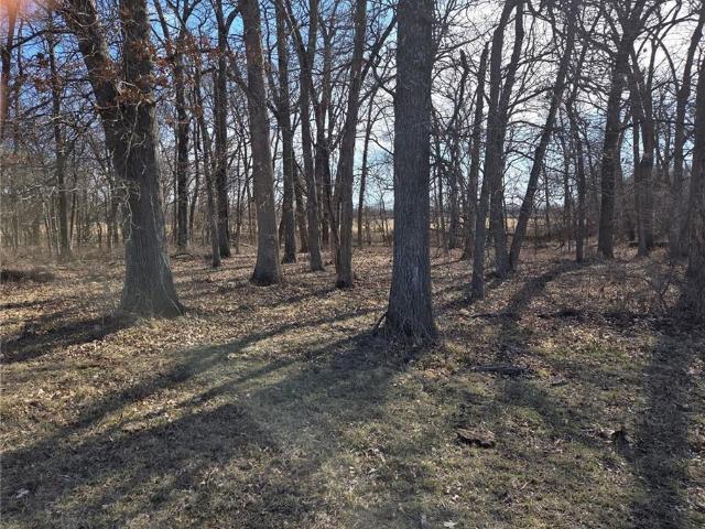 Land for sale in Archie, Missouri