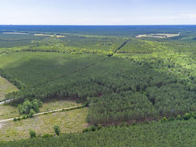 Land for sale in Andrews, South Carolina