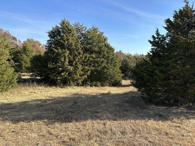 Land for sale in Mexico