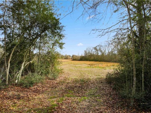 Land for sale in Amite, Louisiana