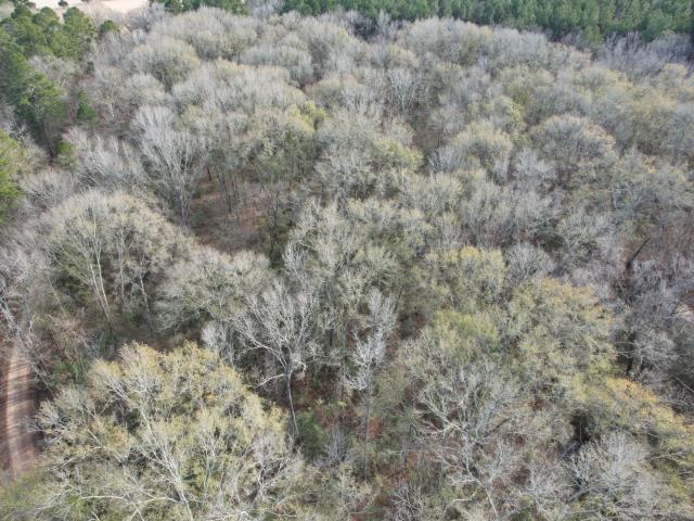 Land for sale in Shelby, Texas