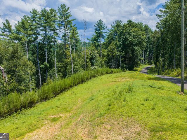 Land for sale in Gilmer, Georgia