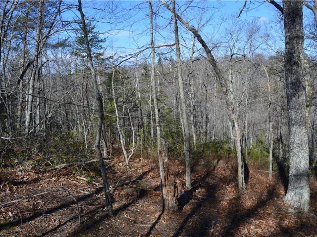 Land for sale in Stokes, North Carolina