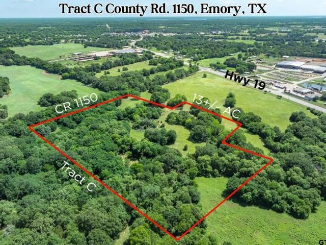Land for sale in Rains, Texas
