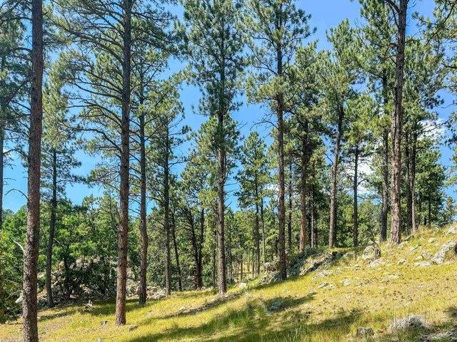 Land for sale in Keystone, South Dakota