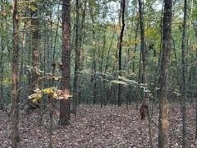 Land for sale in Oxford, Mississippi