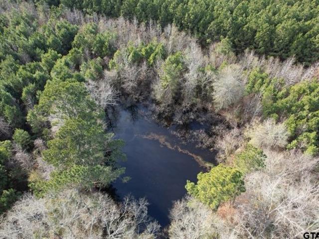 Land for sale in Shelby, Texas