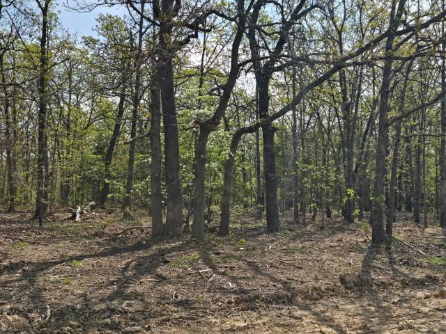 Land for sale in Laclede, Missouri