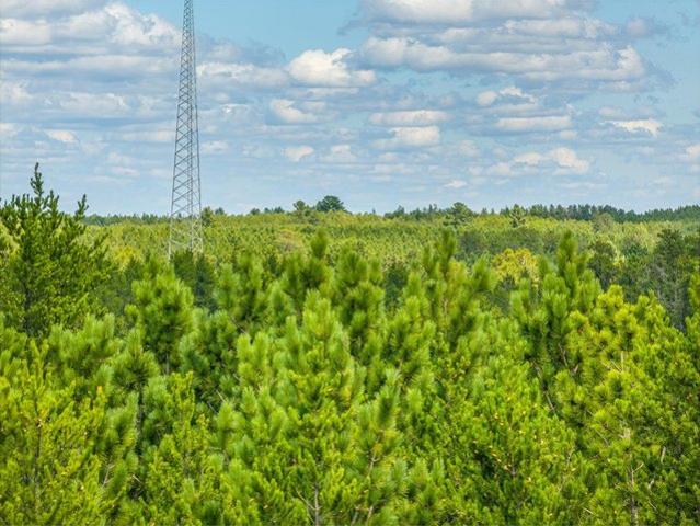 Land for sale in Babbitt, Minnesota