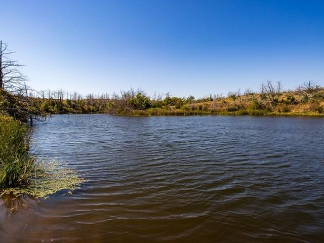 Farm for sale in Mooreland, Oklahoma
