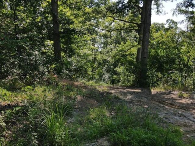Land for sale in Stamping Ground, Kentucky