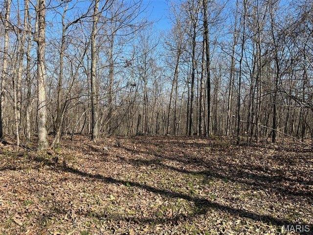 Land for sale in Silva, Missouri