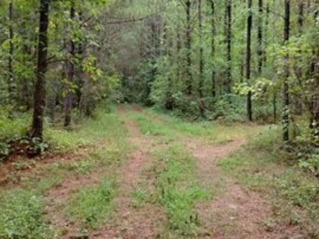 Land for sale in Dalton, Georgia