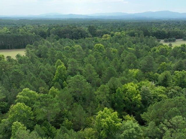 Land for sale in Dalton, Georgia