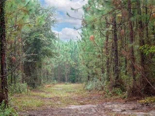 Land for sale in Georgia