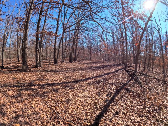 Land for sale in Laclede, Missouri