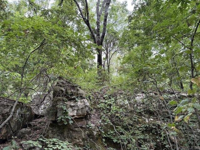 Land for sale in Harrison, Arkansas