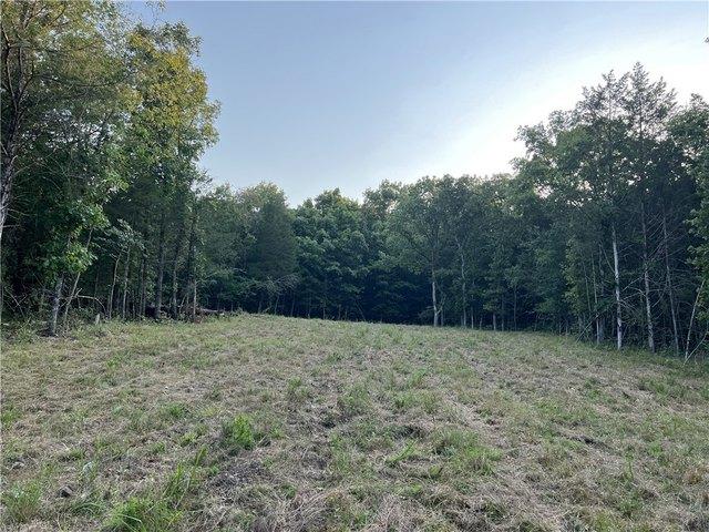 Land for sale in Harrison, Boone County